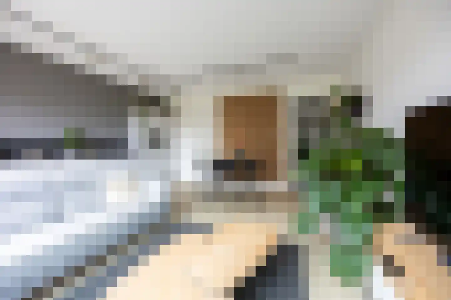 Piet Kramerzoom 123 Bergschenhoek thumbnail 19