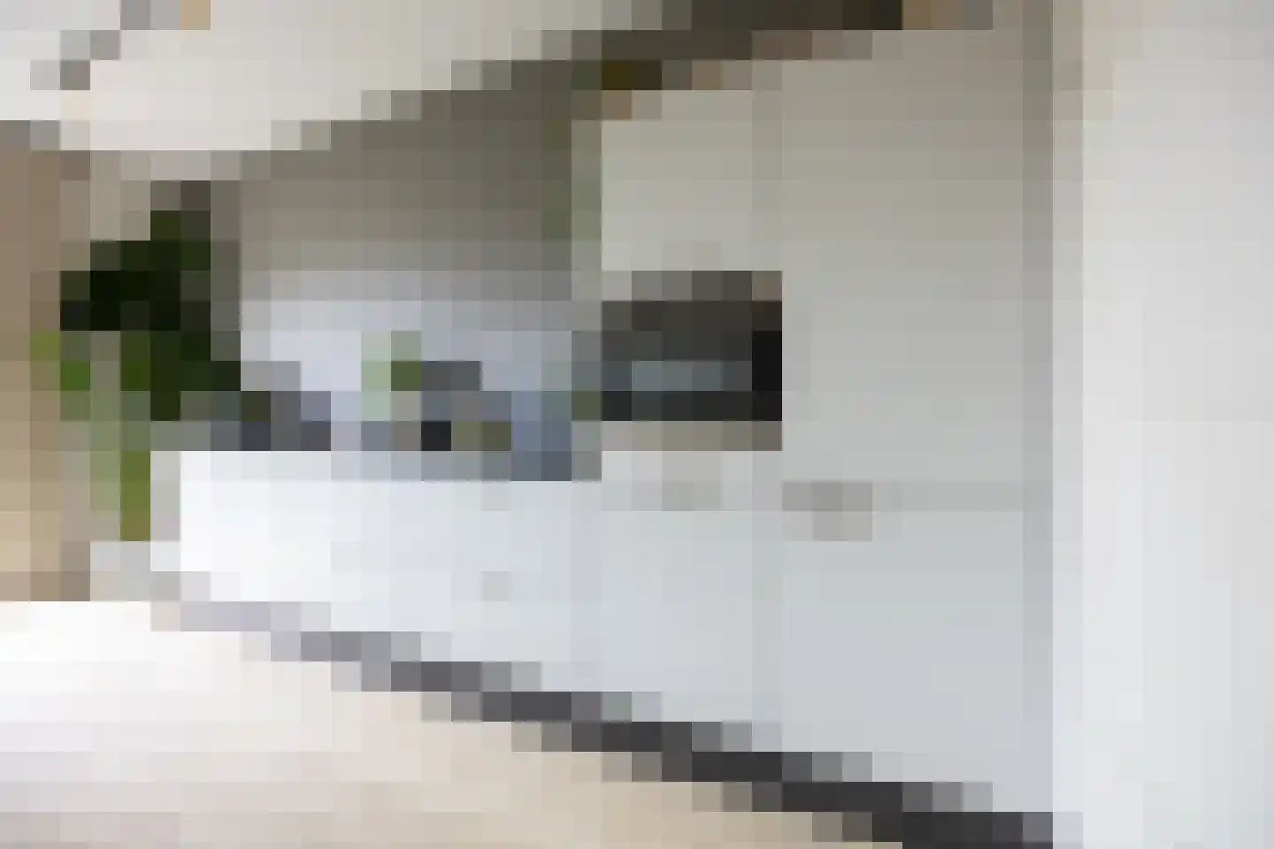 Piet Kramerzoom 123 Bergschenhoek thumbnail 22