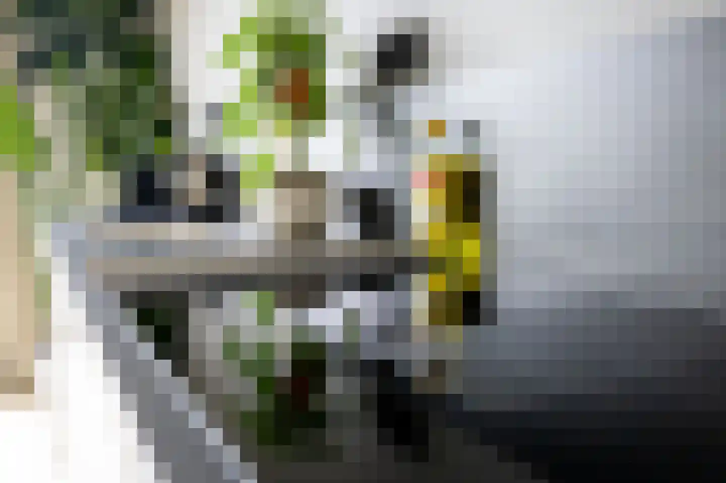 Piet Kramerzoom 123 Bergschenhoek thumbnail 23