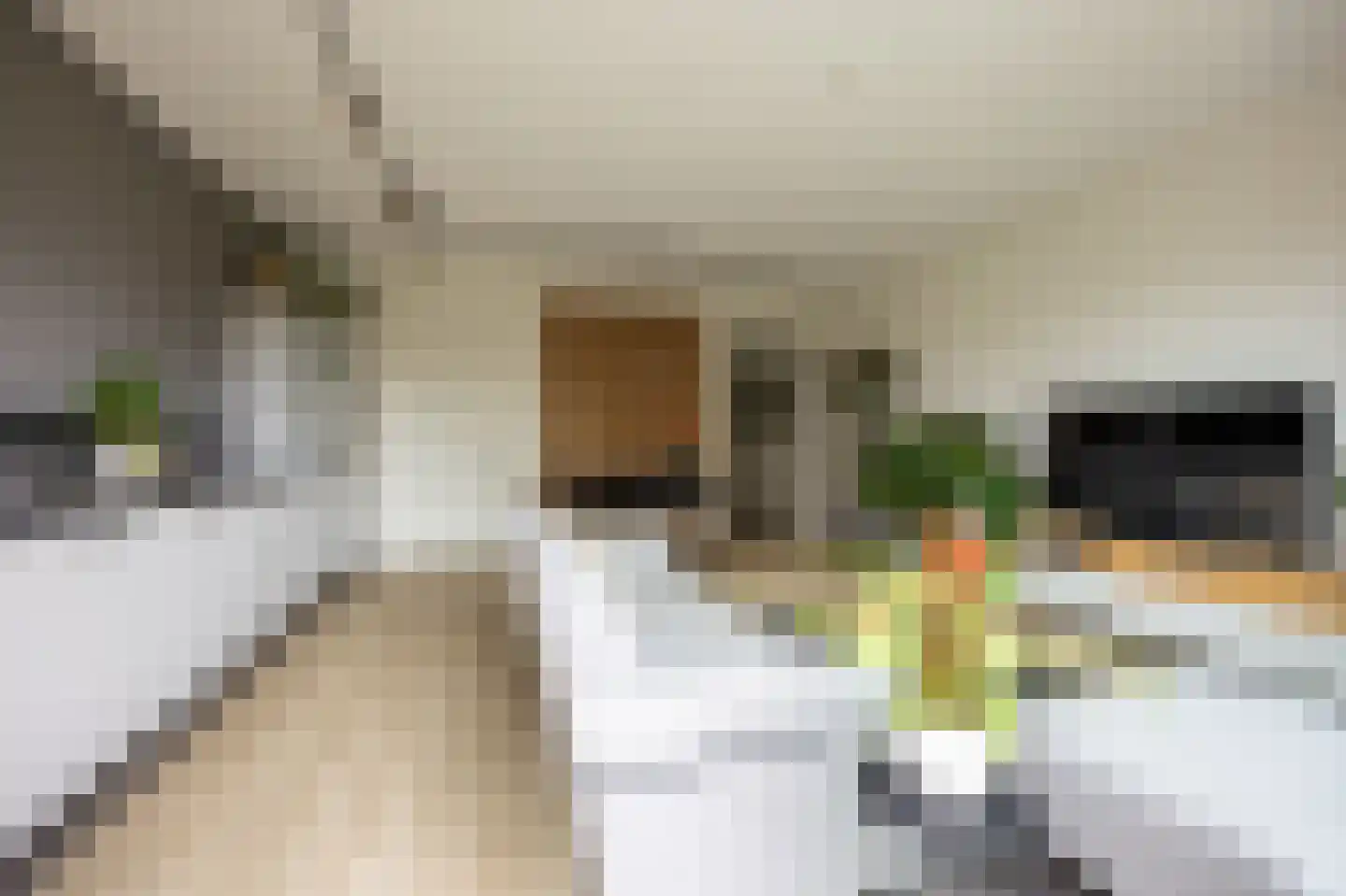 Piet Kramerzoom 123 Bergschenhoek thumbnail 25
