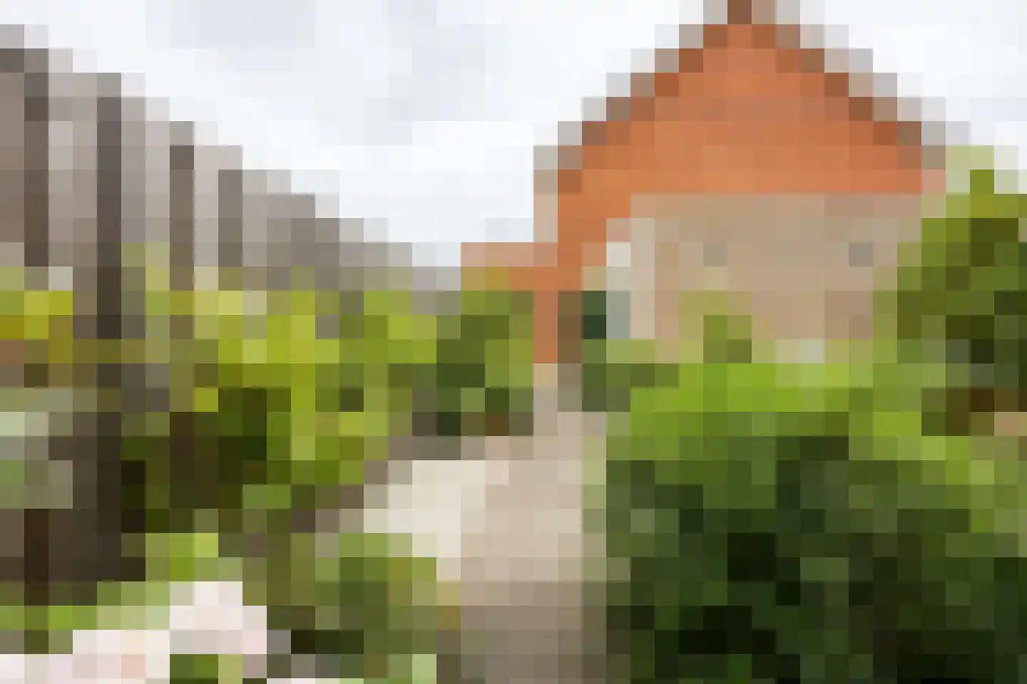 Piet Kramerzoom 123 Bergschenhoek thumbnail 26