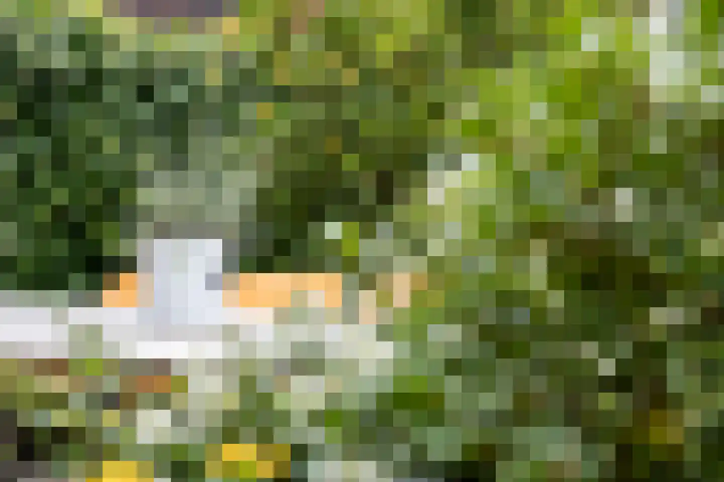 Piet Kramerzoom 123 Bergschenhoek thumbnail 29