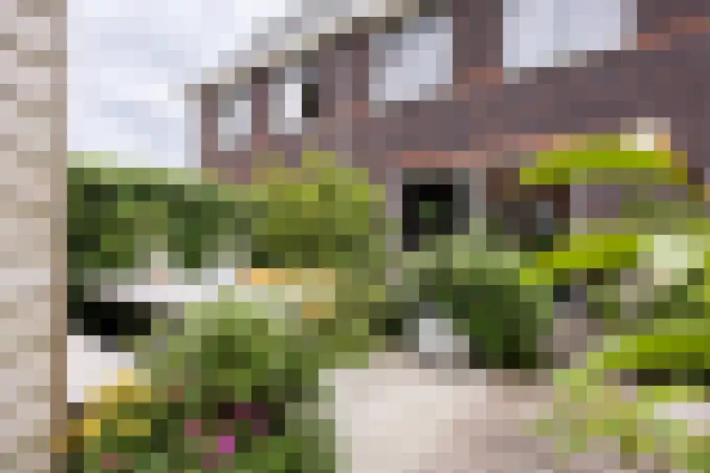 Piet Kramerzoom 123 Bergschenhoek foto 3