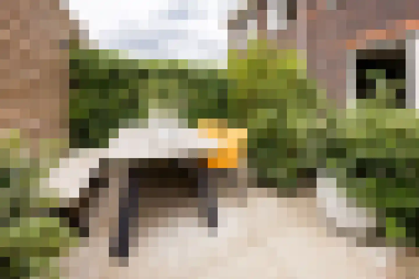 Piet Kramerzoom 123 Bergschenhoek thumbnail 30