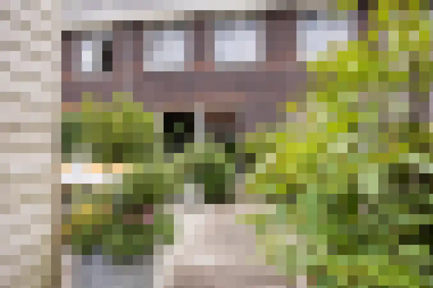 Piet Kramerzoom 123 Bergschenhoek thumbnail 31