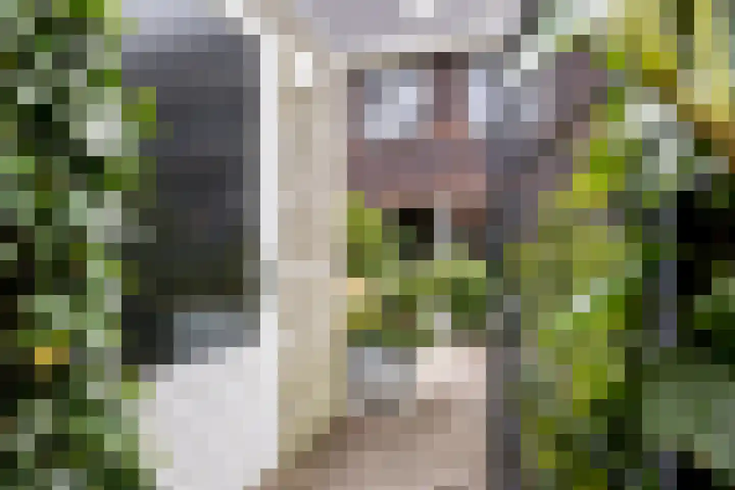 Piet Kramerzoom 123 Bergschenhoek thumbnail 32