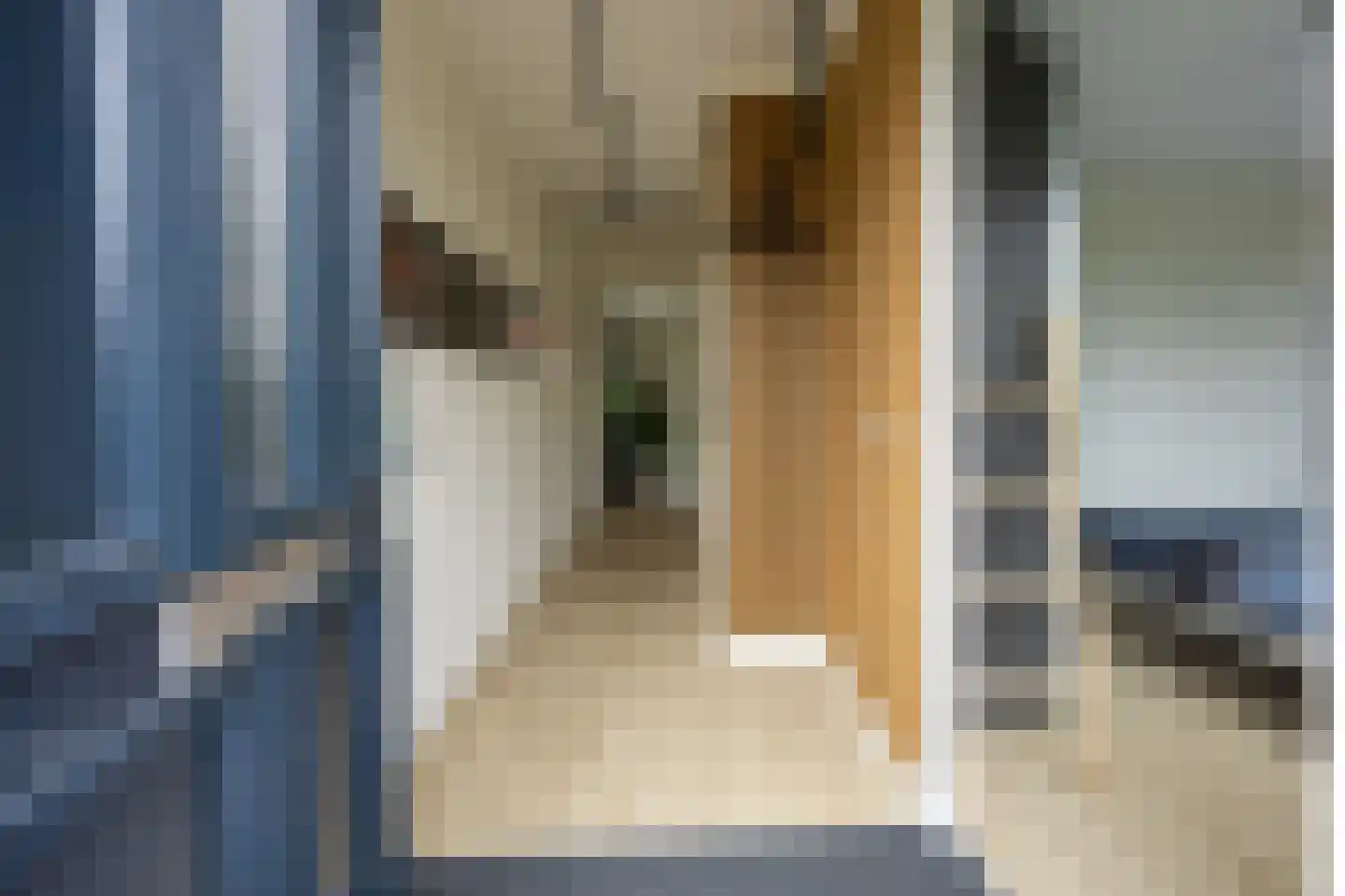Piet Kramerzoom 123 Bergschenhoek thumbnail 8