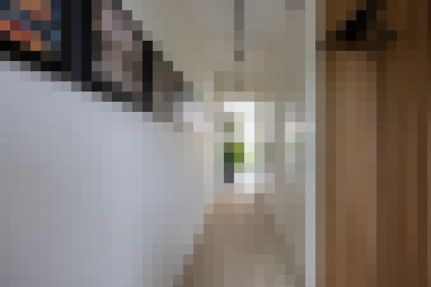 Piet Kramerzoom 123 Bergschenhoek thumbnail 9