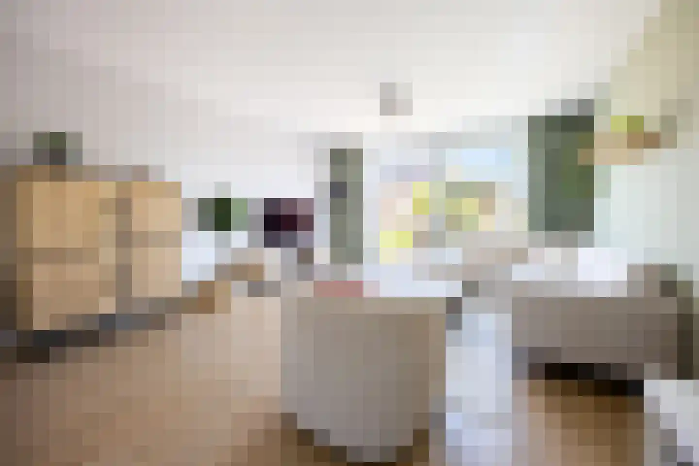 Piet Kramerzoom 137 Bergschenhoek thumbnail 13
