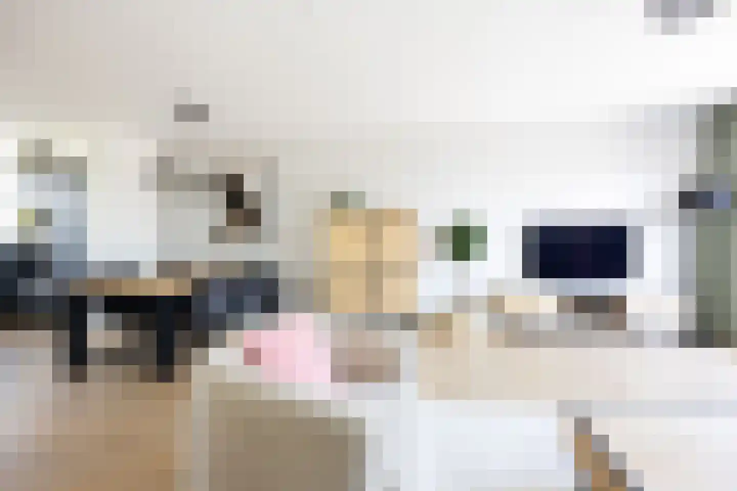 Piet Kramerzoom 137 Bergschenhoek thumbnail 14