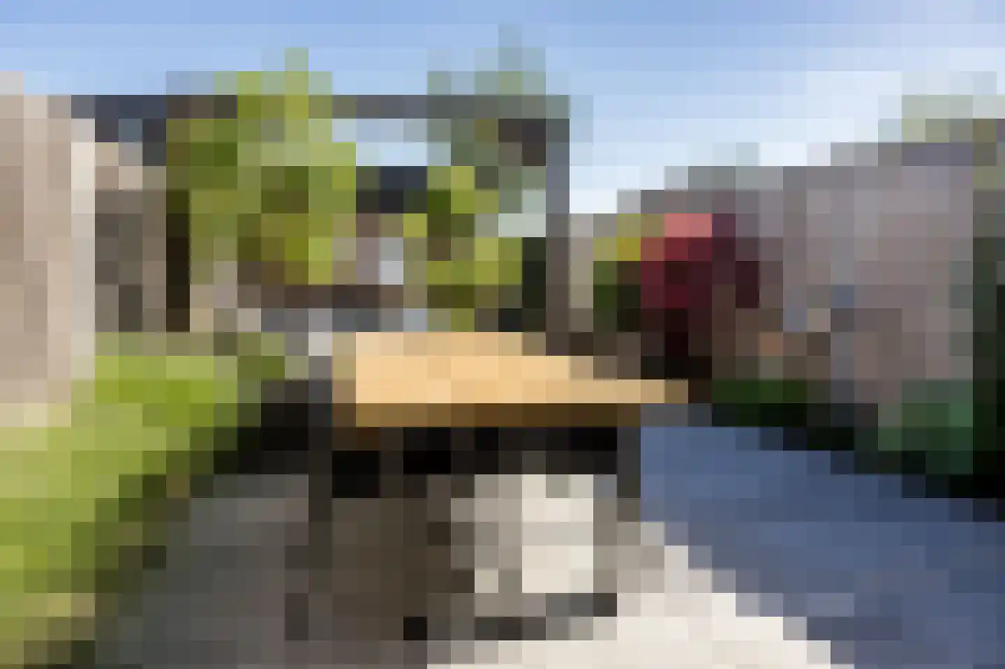 Piet Kramerzoom 137 Bergschenhoek thumbnail 17