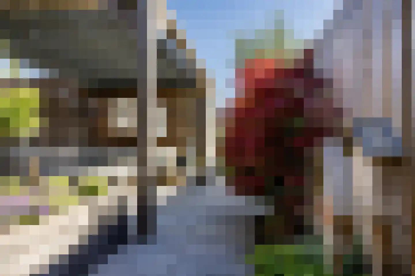 Piet Kramerzoom 137 Bergschenhoek thumbnail 19