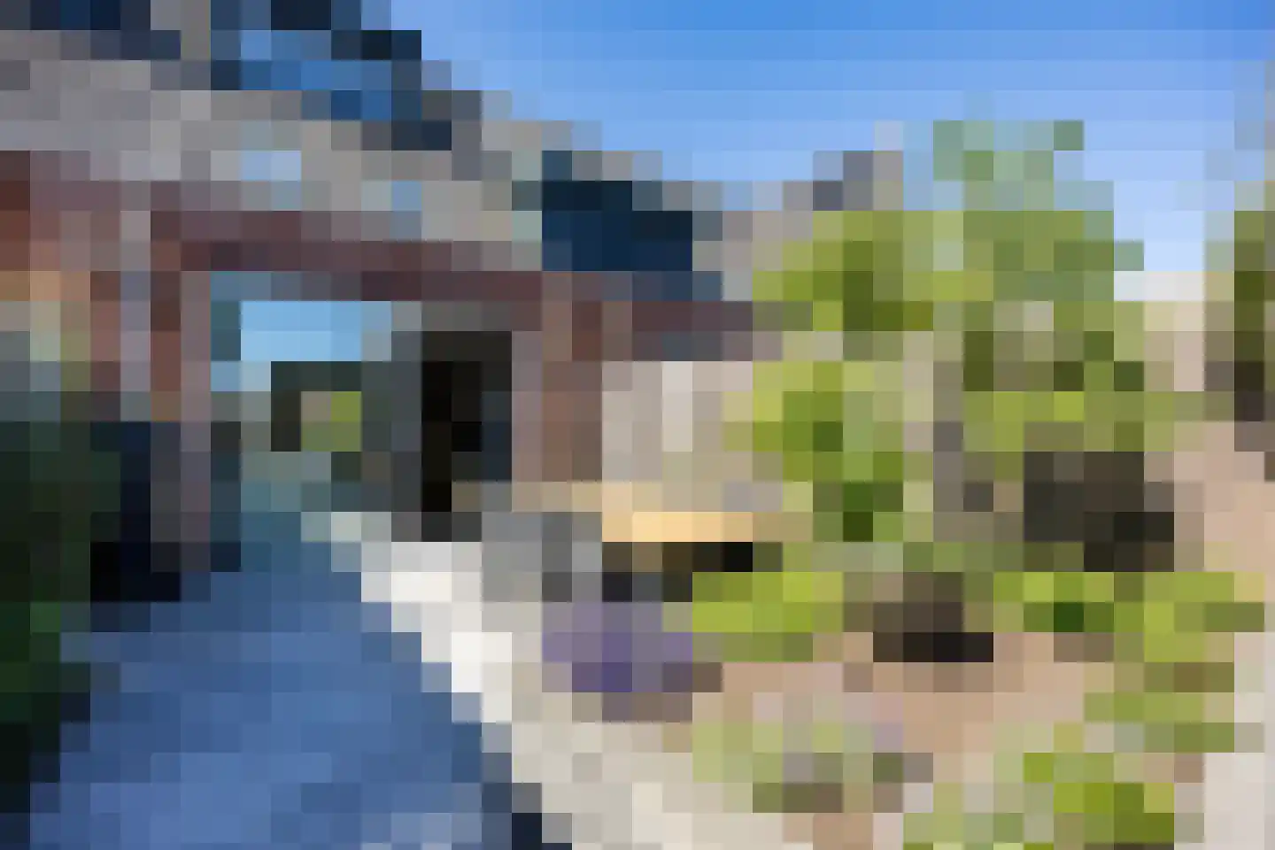 Piet Kramerzoom 137 Bergschenhoek thumbnail 22