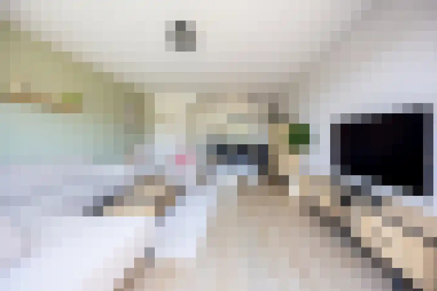 Piet Kramerzoom 137 Bergschenhoek thumbnail 23