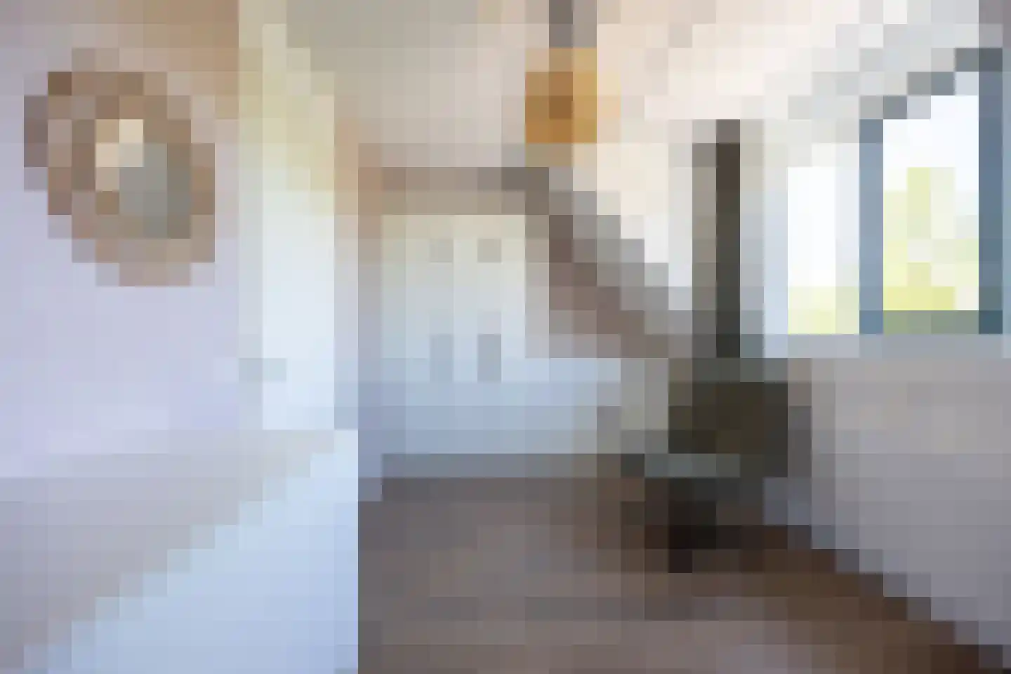 Piet Kramerzoom 137 Bergschenhoek thumbnail 28