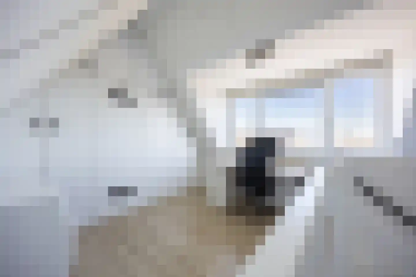 Piet Kramerzoom 137 Bergschenhoek thumbnail 34