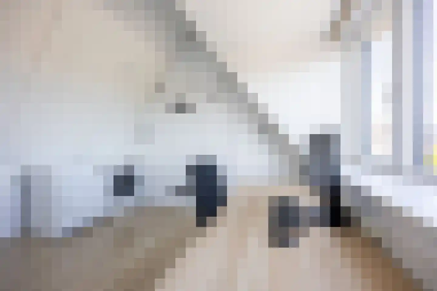 Piet Kramerzoom 137 Bergschenhoek thumbnail 36