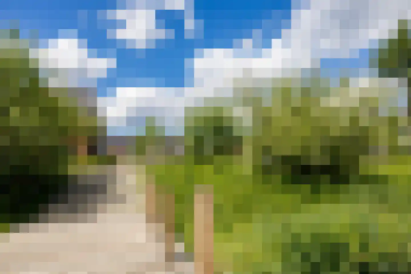 Piet Kramerzoom 137 Bergschenhoek thumbnail 40