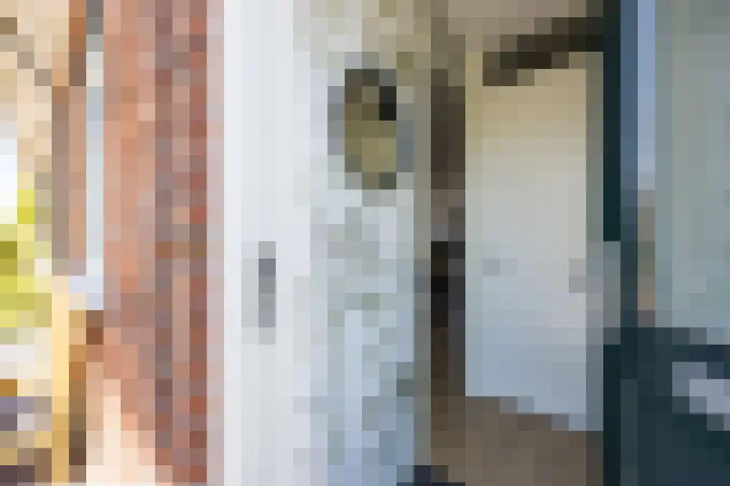Piet Kramerzoom 137 Bergschenhoek thumbnail 6