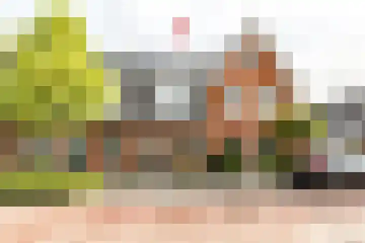 Piet Kramerzoom 141 Bergschenhoek