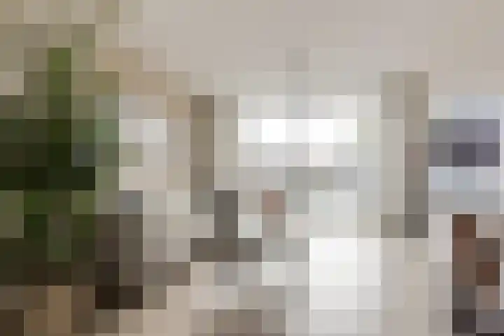 Piet Kramerzoom 141 Bergschenhoek thumbnail 10