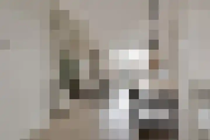 Piet Kramerzoom 141 Bergschenhoek thumbnail 11
