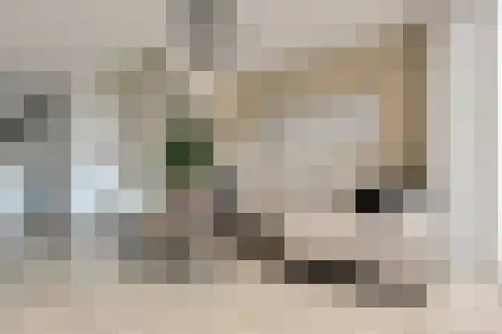 Piet Kramerzoom 141 Bergschenhoek thumbnail 12