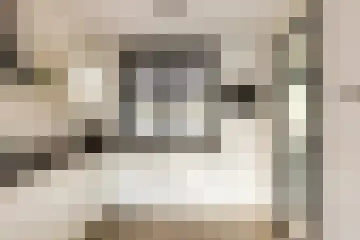 Piet Kramerzoom 141 Bergschenhoek thumbnail 17
