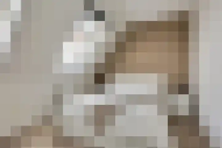 Piet Kramerzoom 141 Bergschenhoek thumbnail 19