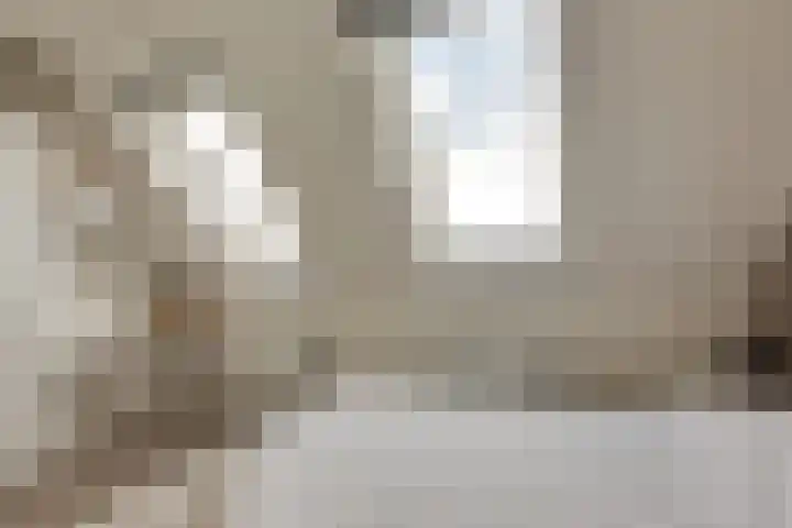 Piet Kramerzoom 141 Bergschenhoek thumbnail 20