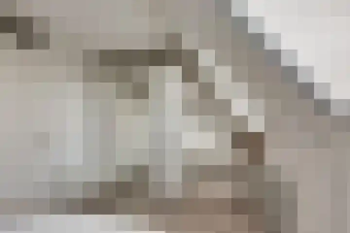 Piet Kramerzoom 141 Bergschenhoek thumbnail 21