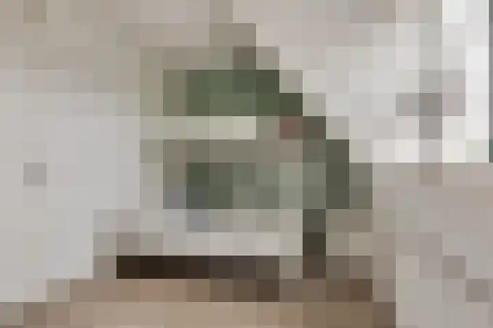 Piet Kramerzoom 141 Bergschenhoek thumbnail 22