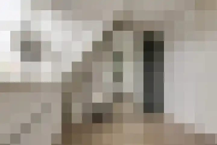 Piet Kramerzoom 141 Bergschenhoek thumbnail 24