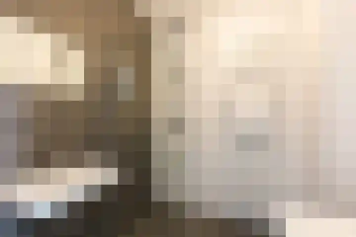 Piet Kramerzoom 141 Bergschenhoek thumbnail 25