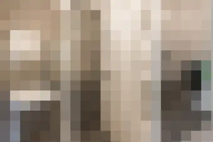 Piet Kramerzoom 141 Bergschenhoek thumbnail 26