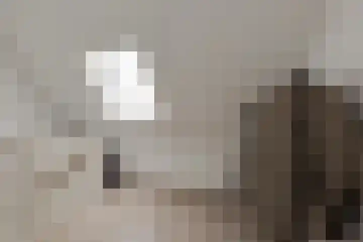 Piet Kramerzoom 141 Bergschenhoek thumbnail 28