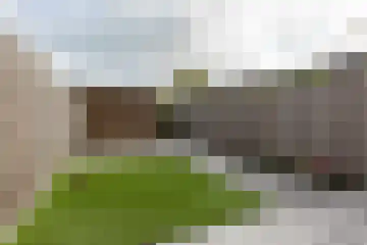 Piet Kramerzoom 141 Bergschenhoek thumbnail 30