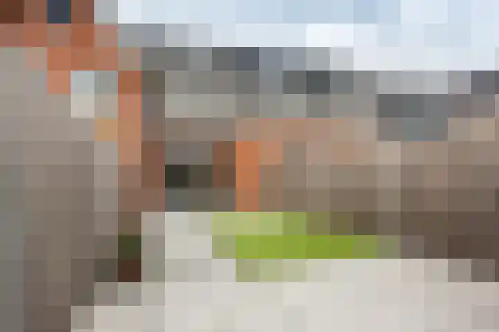 Piet Kramerzoom 141 Bergschenhoek thumbnail 33