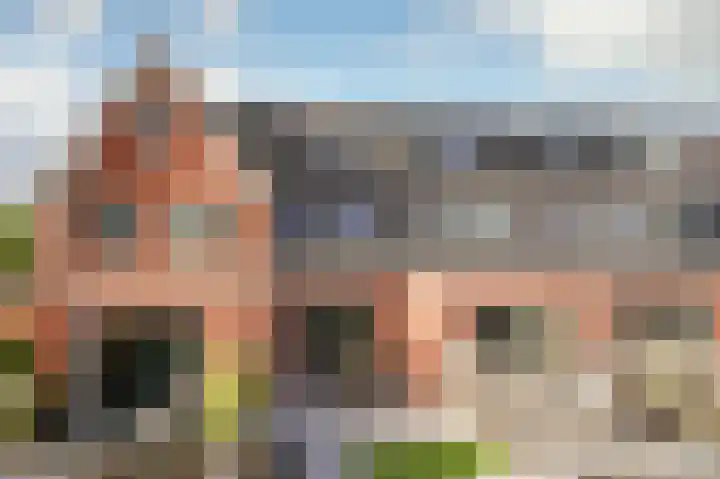 Piet Kramerzoom 141 Bergschenhoek thumbnail 34
