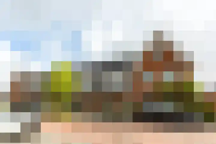 Piet Kramerzoom 141 Bergschenhoek thumbnail 35