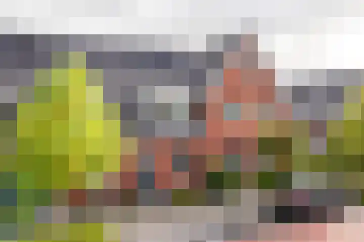 Piet Kramerzoom 141 Bergschenhoek thumbnail 5