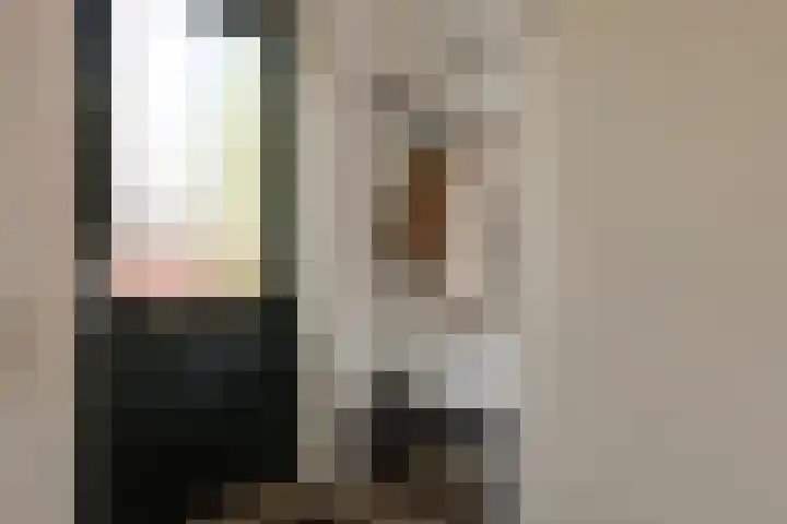 Piet Kramerzoom 141 Bergschenhoek thumbnail 7