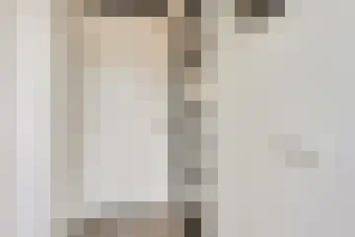 Piet Kramerzoom 141 Bergschenhoek thumbnail 8