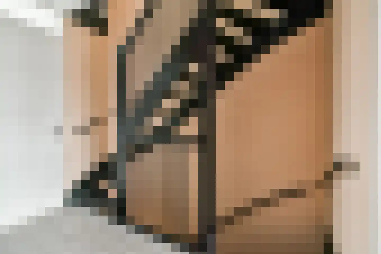 Piet Kramerzoom 33 Bergschenhoek thumbnail 11