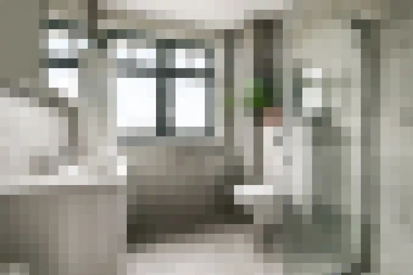 Piet Kramerzoom 33 Bergschenhoek thumbnail 12