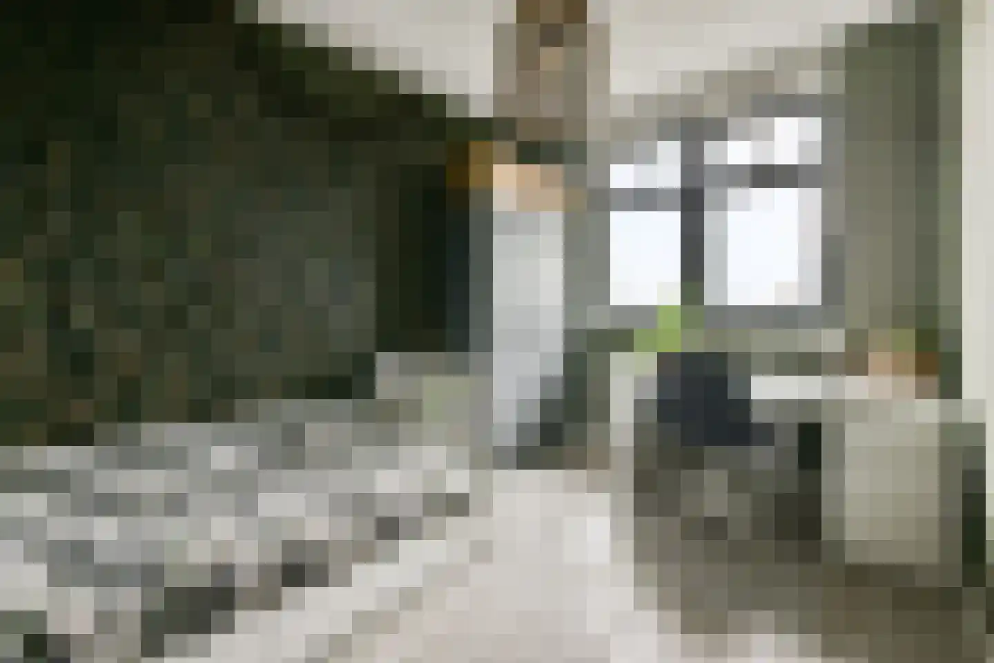 Piet Kramerzoom 33 Bergschenhoek thumbnail 14