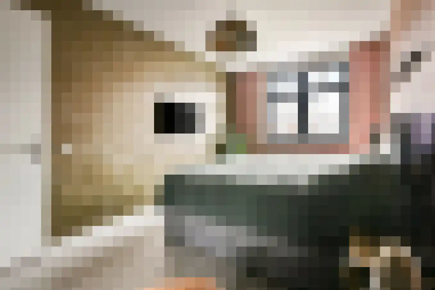 Piet Kramerzoom 33 Bergschenhoek thumbnail 16