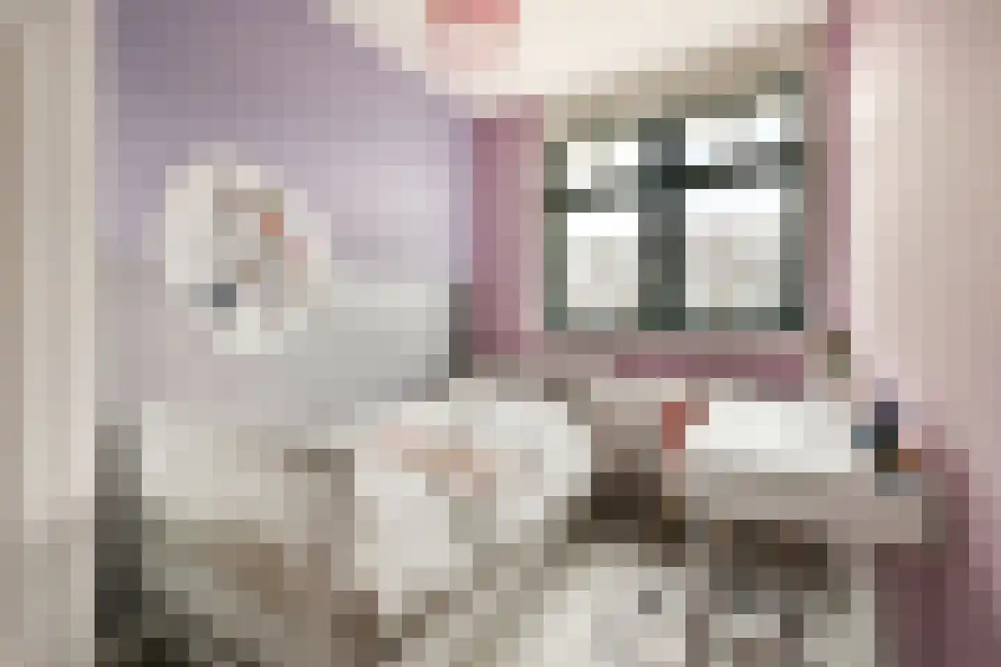 Piet Kramerzoom 33 Bergschenhoek thumbnail 18