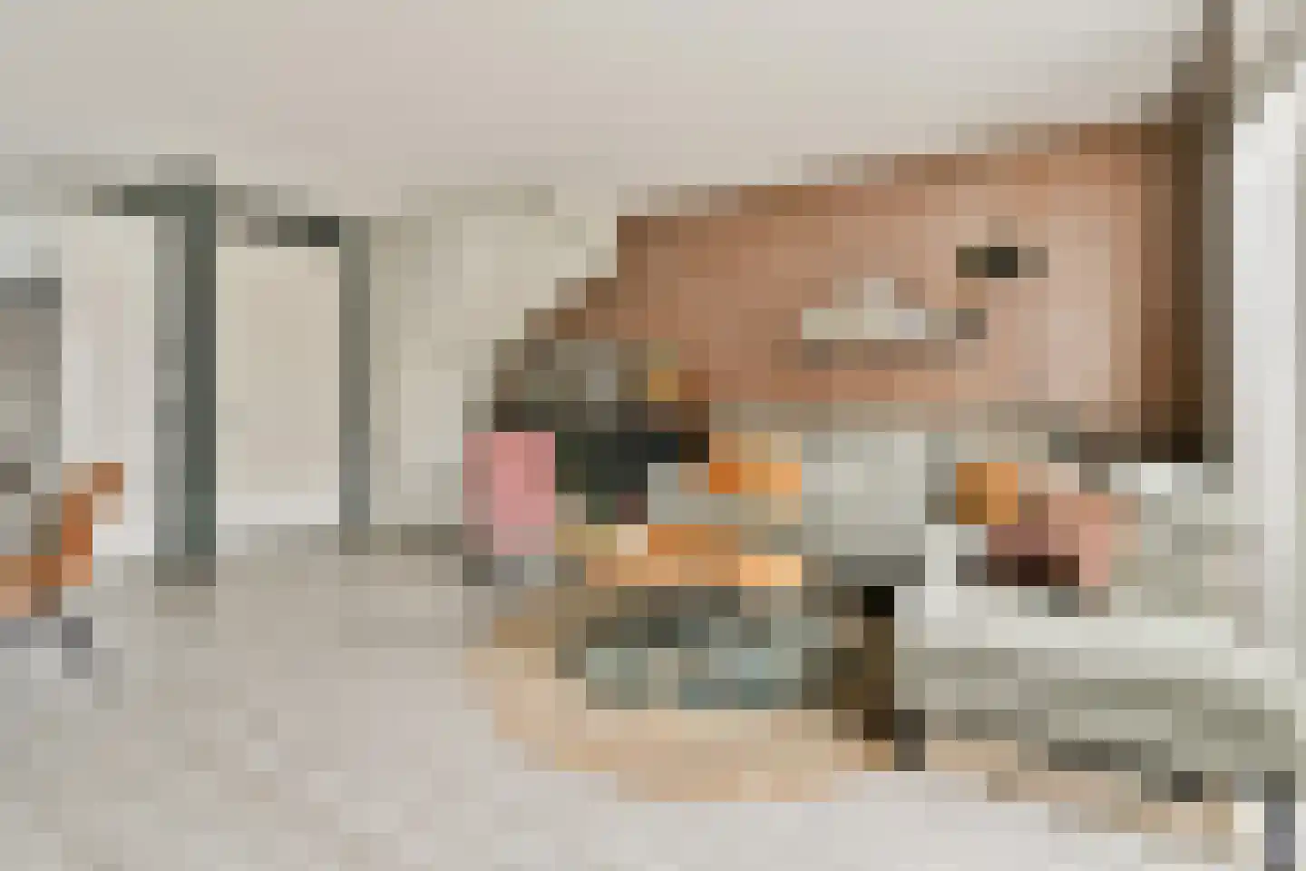 Piet Kramerzoom 33 Bergschenhoek foto 2