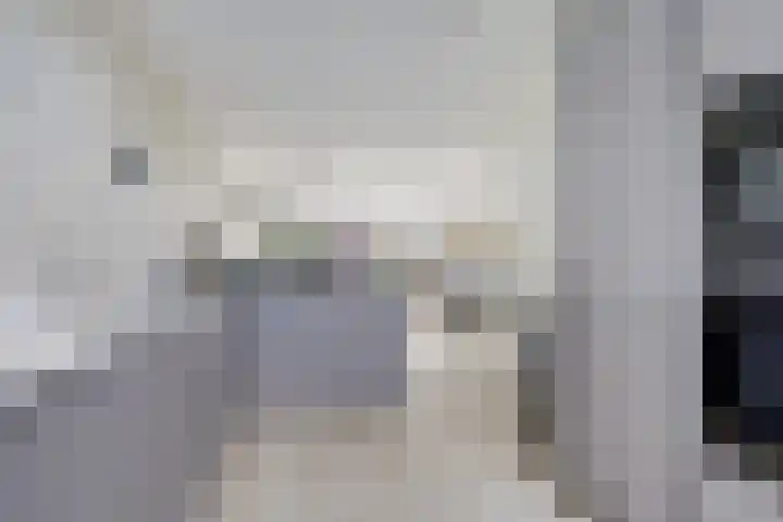 Piet Kramerzoom 49 Bergschenhoek thumbnail 13